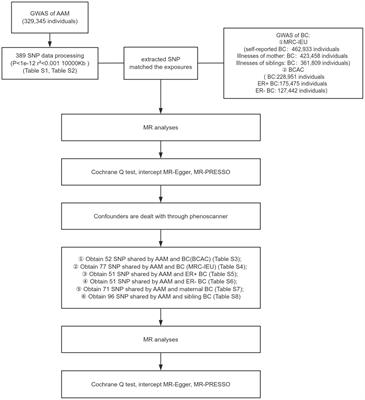 Relationship between age at menarche and breast cancer in individuals, as well as in first-degree kin and estrogen receptor status: a Mendelian randomization study